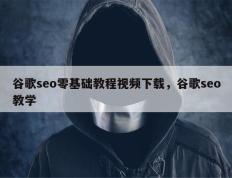 谷歌seo零基础教程视频下载，谷歌seo教学