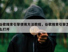 谷歌搜索引擎使用方法教程，谷歌搜索引擎怎么打开