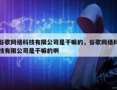 谷歌网络科技有限公司是干嘛的，谷歌网络科技有限公司是干嘛的啊