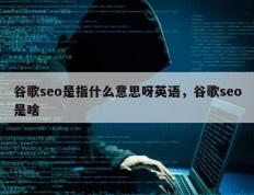 谷歌seo是指什么意思呀英语，谷歌seo是啥