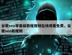 谷歌seo零基础教程视频在线观看免费，谷歌seo新规则
