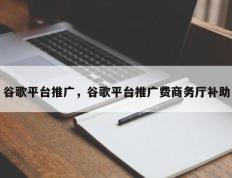 谷歌平台推广，谷歌平台推广费商务厅补助