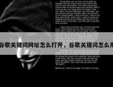 谷歌关键词网址怎么打开，谷歌关键词怎么用