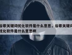 谷歌关键词优化软件是什么意思，谷歌关键词优化软件是什么意思啊