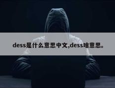 dess是什么意思中文,dess啥意思。