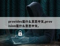 provides是什么意思中文,provision是什么意思中文。
