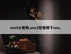 seol小视频,seo1短视频下seo。
