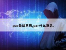 pae是啥意思,par什么意思。