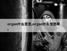 organ什么意思,organ什么意思呢。