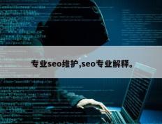 专业seo维护,seo专业解释。