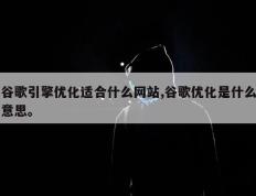 谷歌引擎优化适合什么网站,谷歌优化是什么意思。