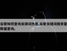 谷歌如何查询关键词热度,谷歌关键词搜索量数据查询。