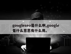 googleseo是什么啊,google是什么意思有什么用。
