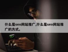什么是seo网站推广,什么是seo网站推广的方式。