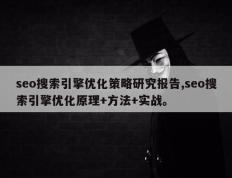 seo搜索引擎优化策略研究报告,seo搜索引擎优化原理+方法+实战。
