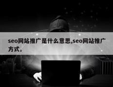 seo网站推广是什么意思,seo网站推广方式。
