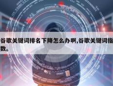 谷歌关键词排名下降怎么办啊,谷歌关键词指数。