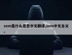 sem是什么意思中文翻译,sem中文含义。