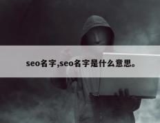 seo名字,seo名字是什么意思。