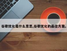 谷歌优化是什么意思,谷歌优化的最佳方案。