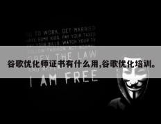 谷歌优化师证书有什么用,谷歌优化培训。