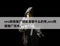 seo网络推广到底是做什么的呀,seo网络推广技术。
