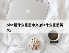 pise是什么意思中文,pis什么意思英文。