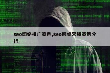 seo网络推广案例,seo网络营销案例分析。