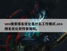 seo搜索排名优化是什么工作模式,seo排名优化软件有用吗。