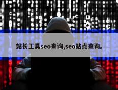 站长工具seo查询,seo站点查询。