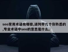seo常用术语有哪些,请列举几个你熟悉的,专业术语中seo的意思是什么。