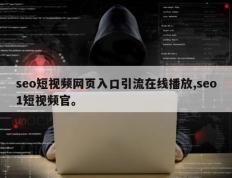seo短视频网页入口引流在线播放,seo1短视频官。