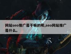 网站seo推广是干嘛的呢,seo网站推广是什么。