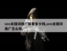 seo关键词推广需要多少钱,seo关键词推广怎么样。