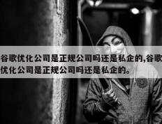 谷歌优化公司是正规公司吗还是私企的,谷歌优化公司是正规公司吗还是私企的。