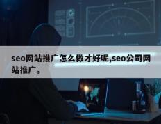 seo网站推广怎么做才好呢,seo公司网站推广。