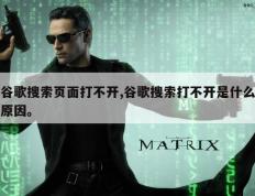 谷歌搜索页面打不开,谷歌搜索打不开是什么原因。