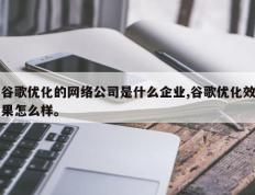 谷歌优化的网络公司是什么企业,谷歌优化效果怎么样。