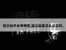 独立站平台有哪些,独立站是怎么运营的。
