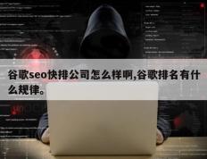 谷歌seo快排公司怎么样啊,谷歌排名有什么规律。