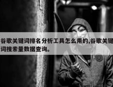 谷歌关键词排名分析工具怎么用的,谷歌关键词搜索量数据查询。