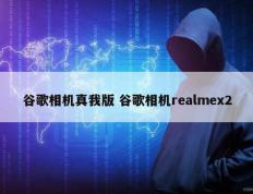 谷歌相机真我版 谷歌相机realmex2