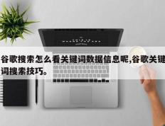 谷歌搜索怎么看关键词数据信息呢,谷歌关键词搜索技巧。