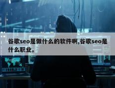 谷歌seo是做什么的软件啊,谷歌seo是什么职业。