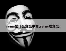 sems是什么意思中文,seme啥意思。