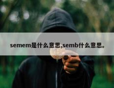 semem是什么意思,semb什么意思。