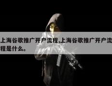 上海谷歌推广开户流程,上海谷歌推广开户流程是什么。