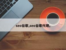 seo谷歌,seo谷歌代理。