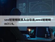 seo短视频网页入口引流,seo1短视频m3∪8。