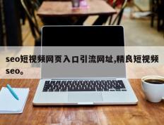 seo短视频网页入口引流网址,精良短视频seo。